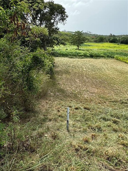 En Venta: $135,000 (0.31 acres)