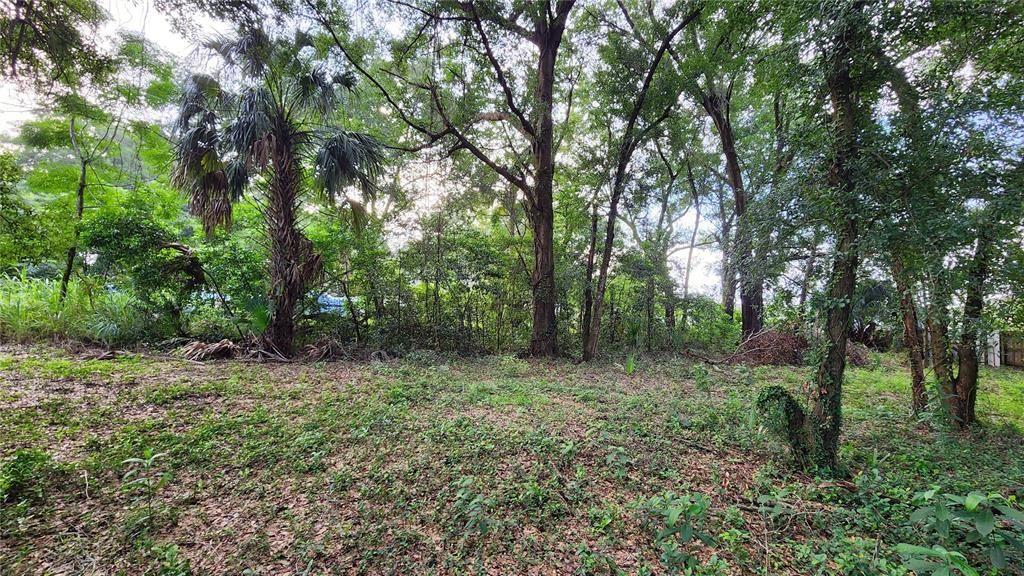 En Venta: $80,000 (0.21 acres)