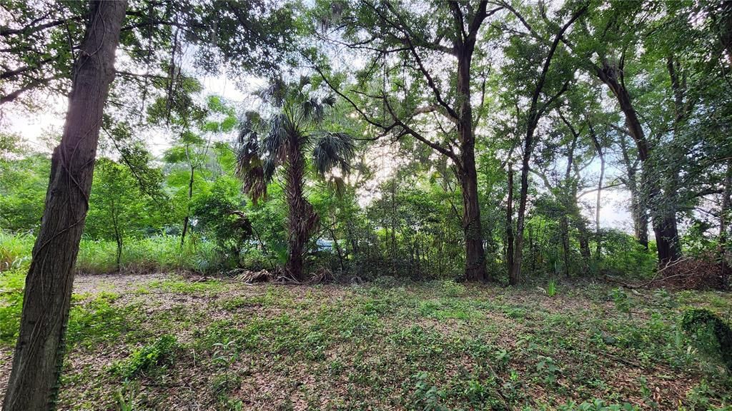 En Venta: $80,000 (0.21 acres)