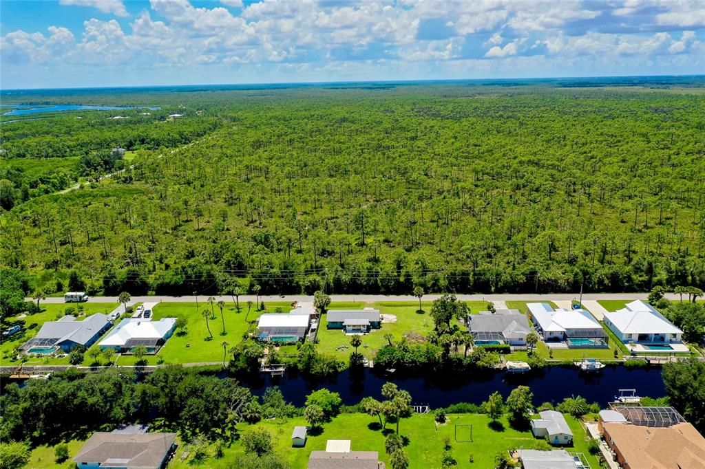 Myakka State Forest across the street