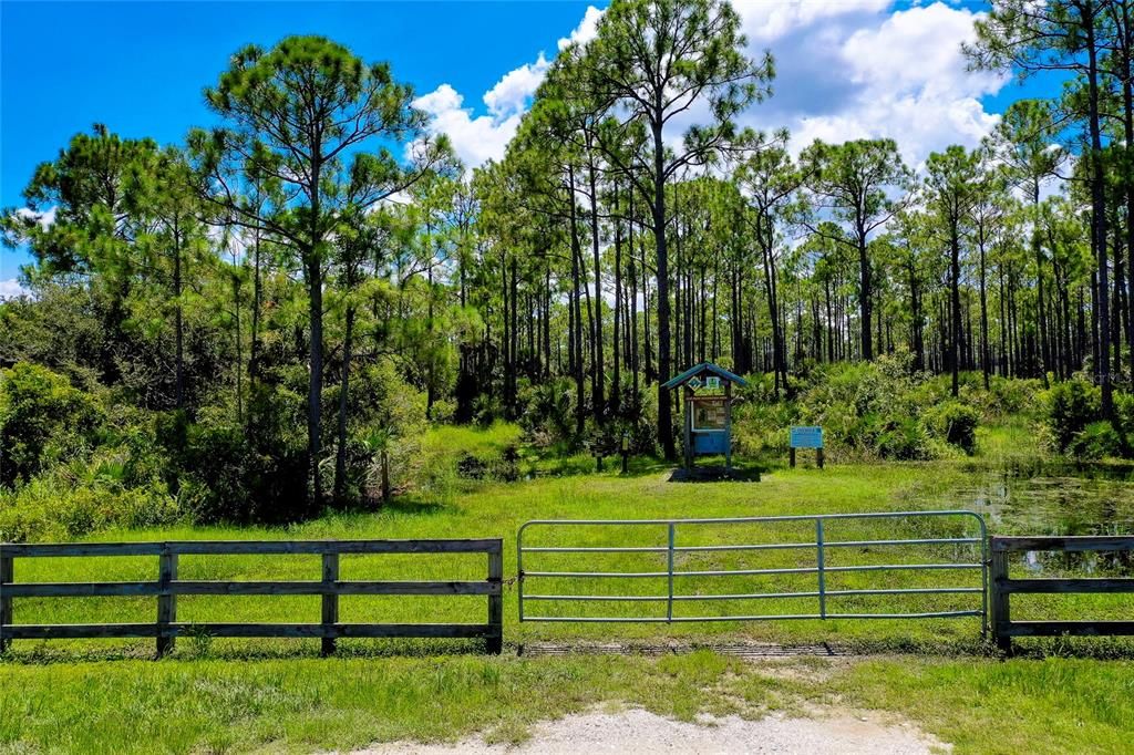 Myakka State Forest Trail Head