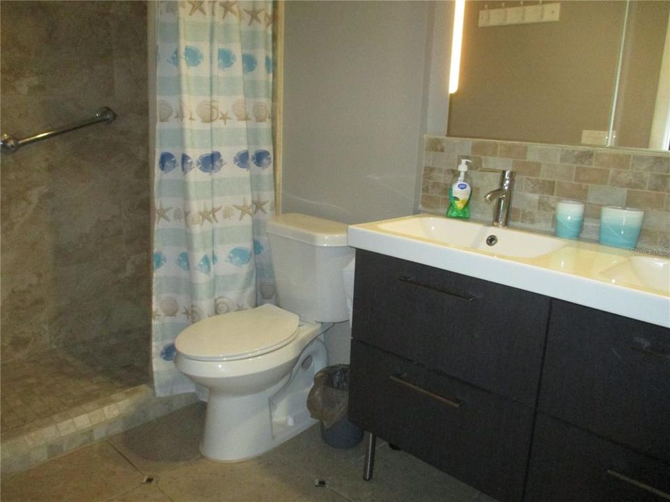 master bath with step in shower