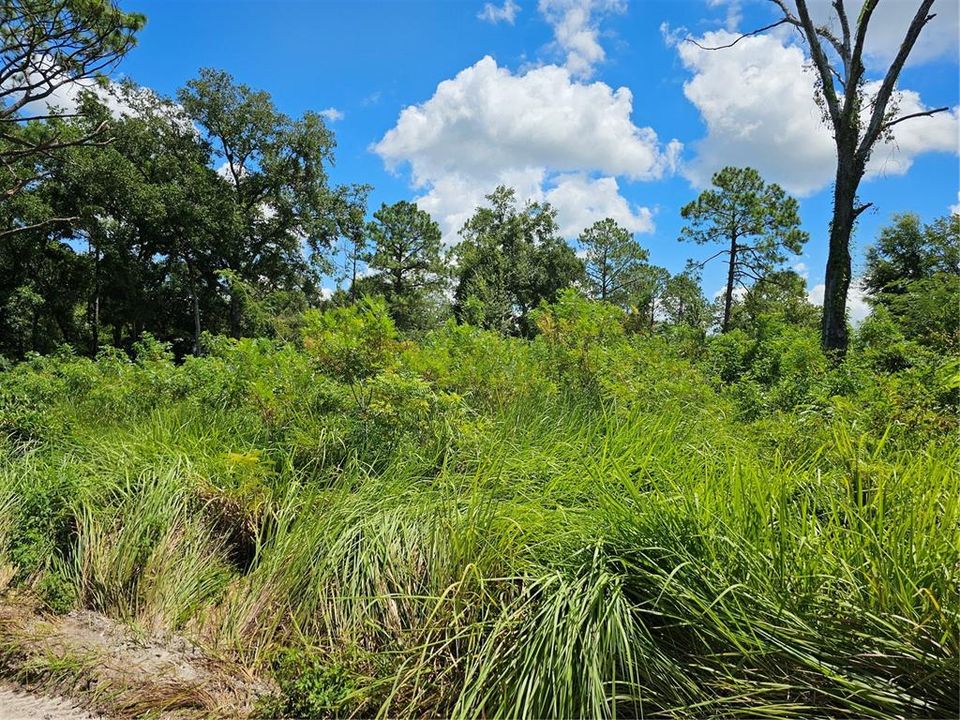 На продажу: $15,000 (0.19 acres)