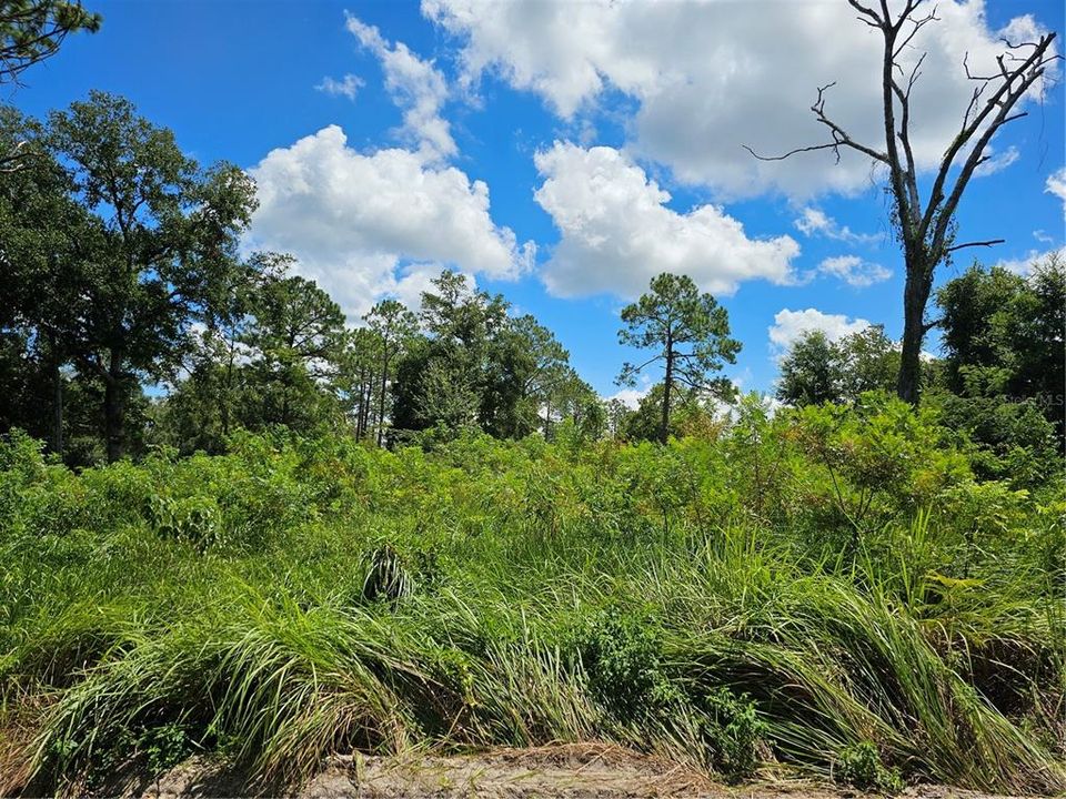 На продажу: $15,000 (0.19 acres)