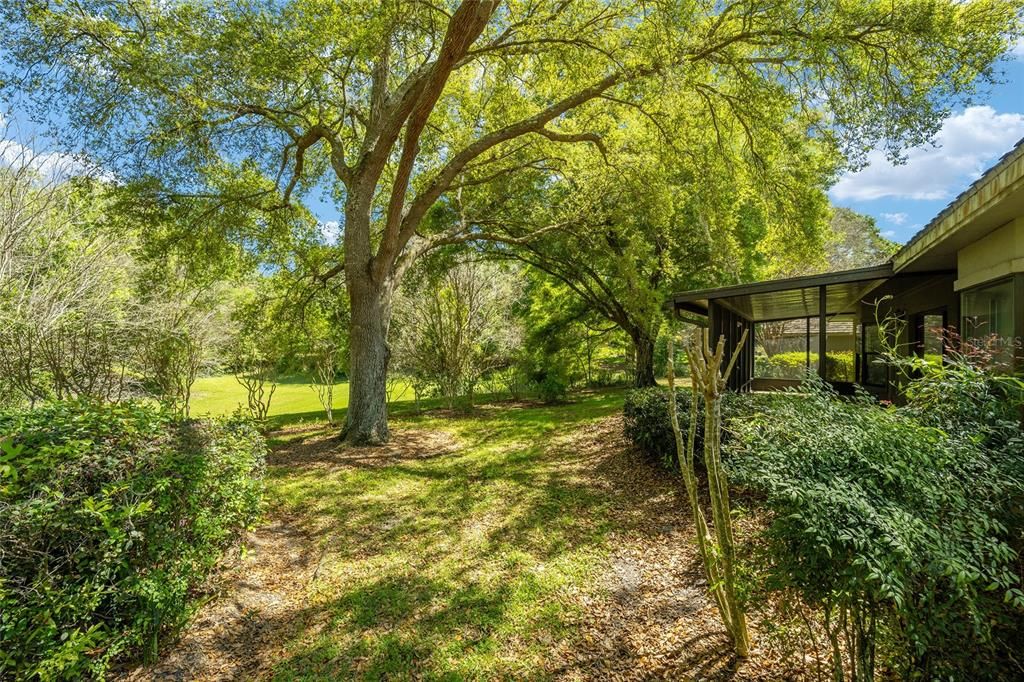 Scenic Back-Yard