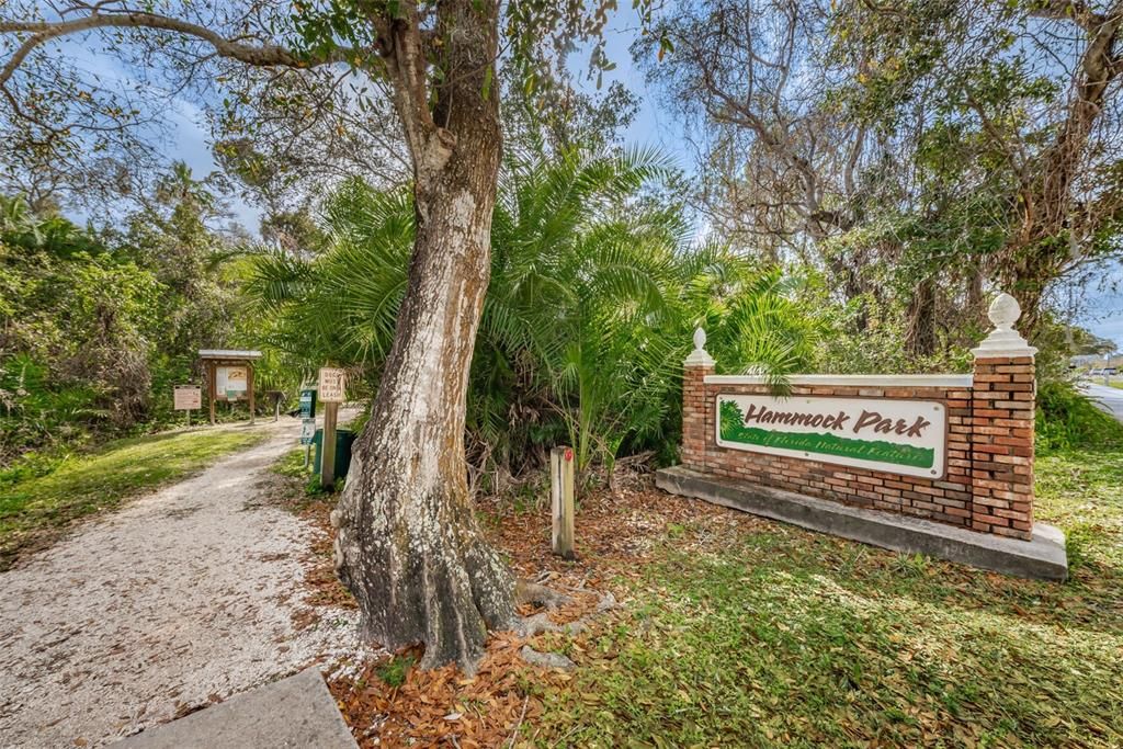 Hammock Park Walking Trails...ACROSS the STREET!