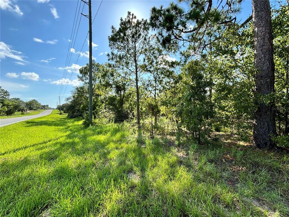 Vendido Recientemente: $29,999 (1.00 acres)