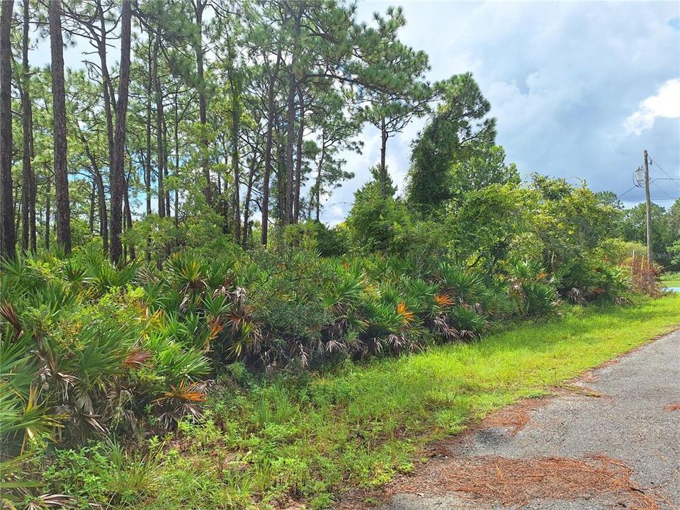 En Venta: $19,500 (0.45 acres)