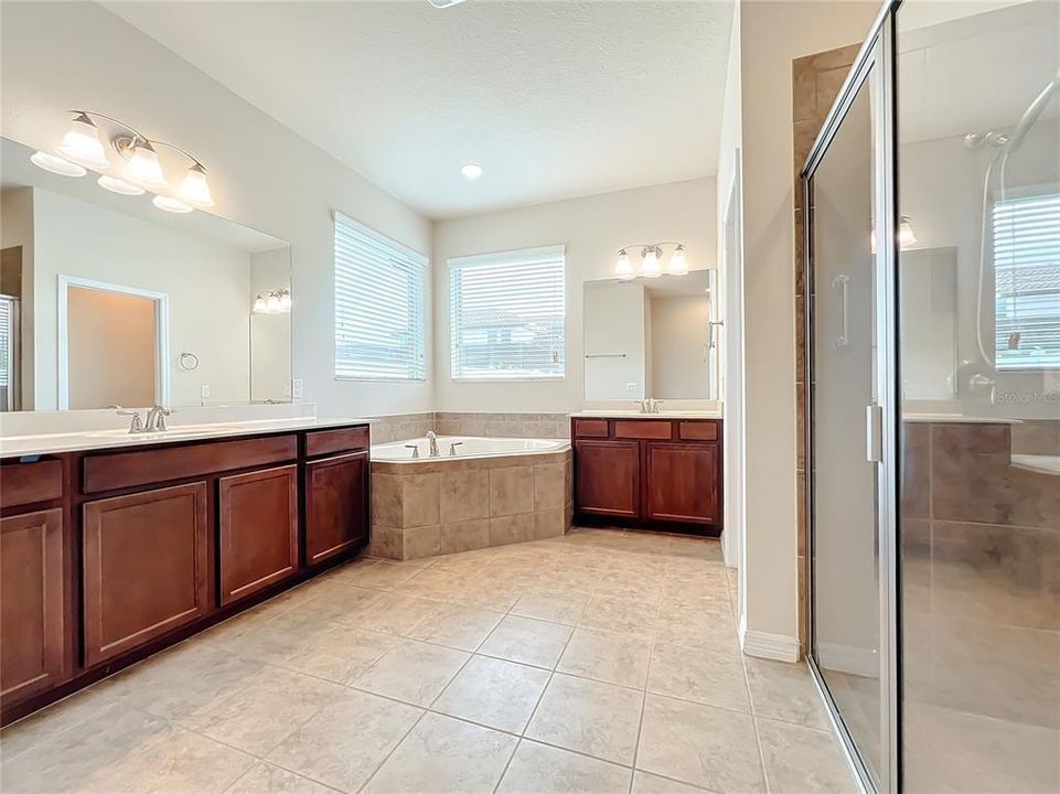 Owner's suite bathroom