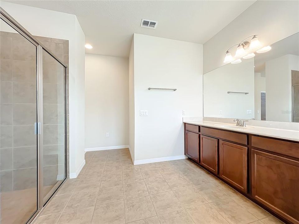 Owner's suite bathroom