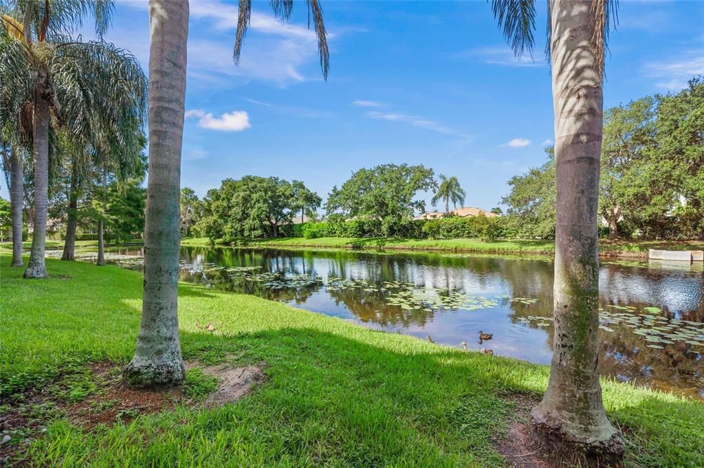 private water view from patio