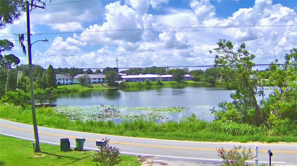 Lakefront across the street is part of the property.