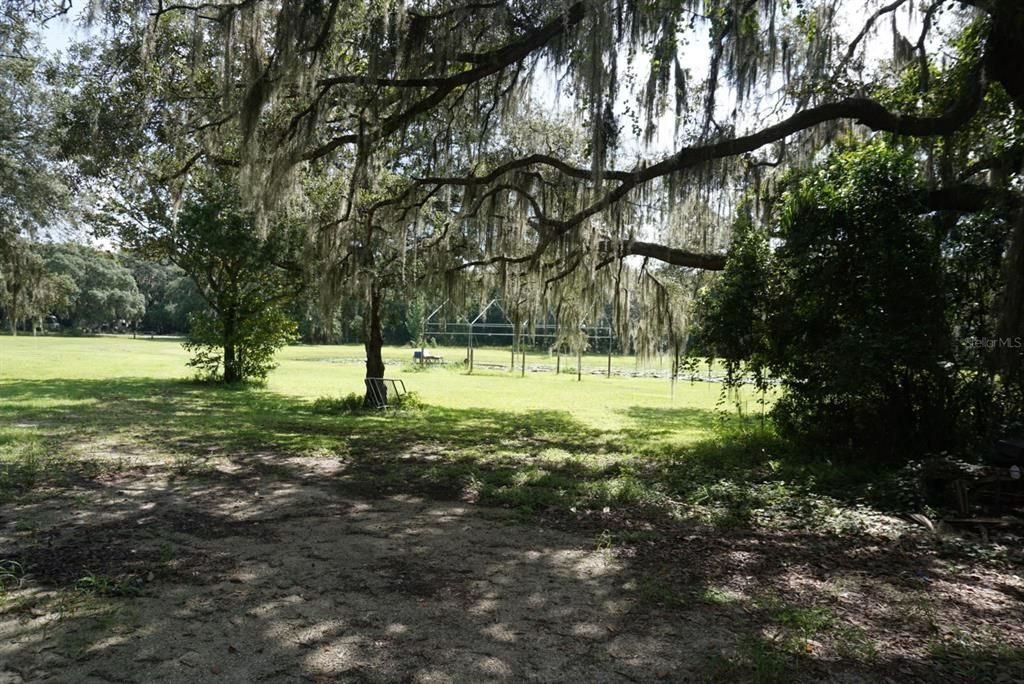 Main property driveway looking at pond