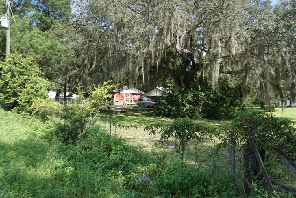 Property shown from middle of property along the fence line.