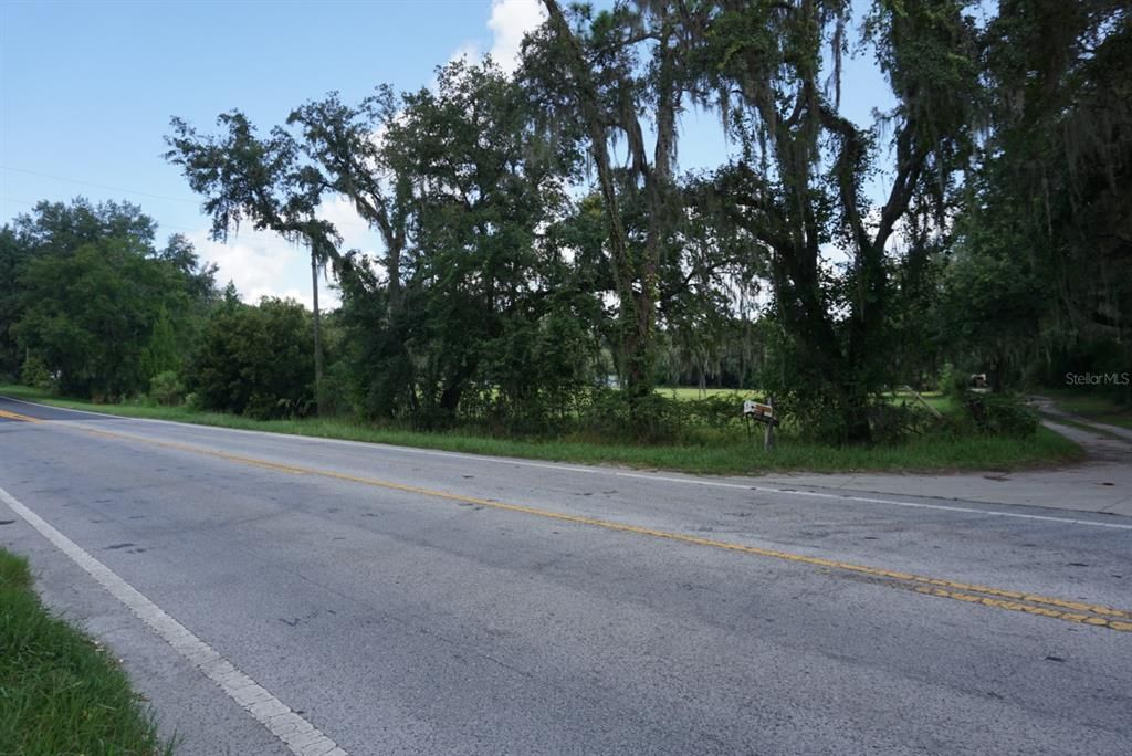 View from road of private driveway and land