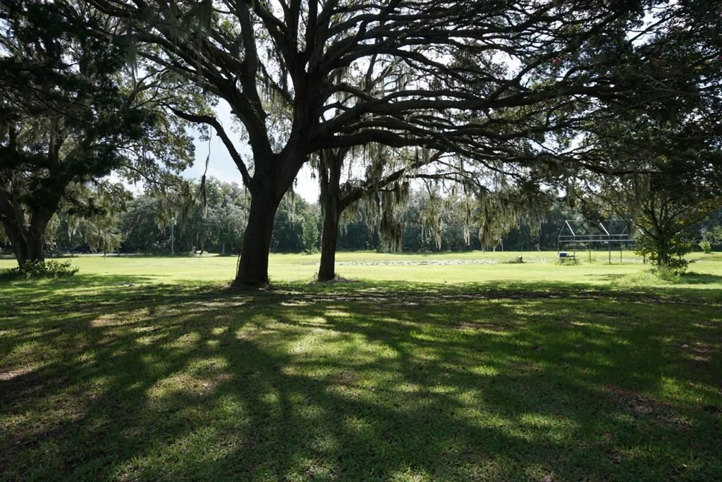 Pond view from main property