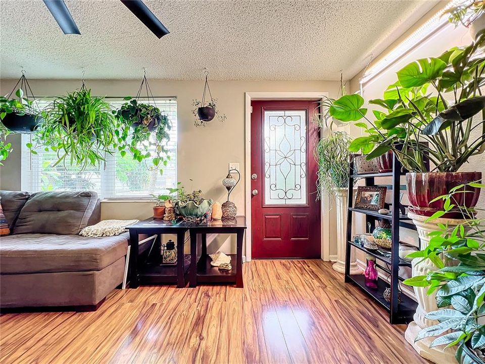 Make yourself at home.  House plants thrive in all the natural lighting.