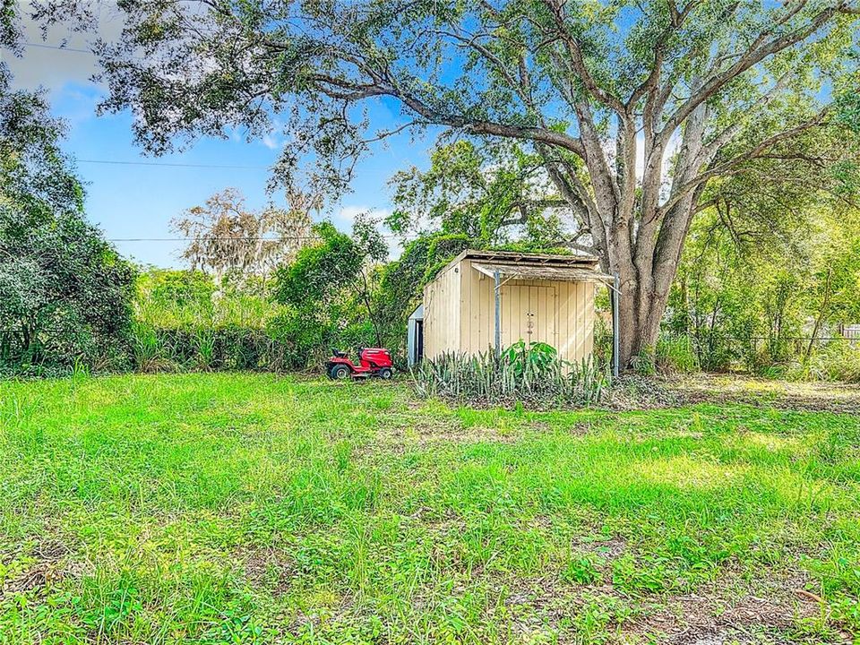 Another view of the backyard and sheds.