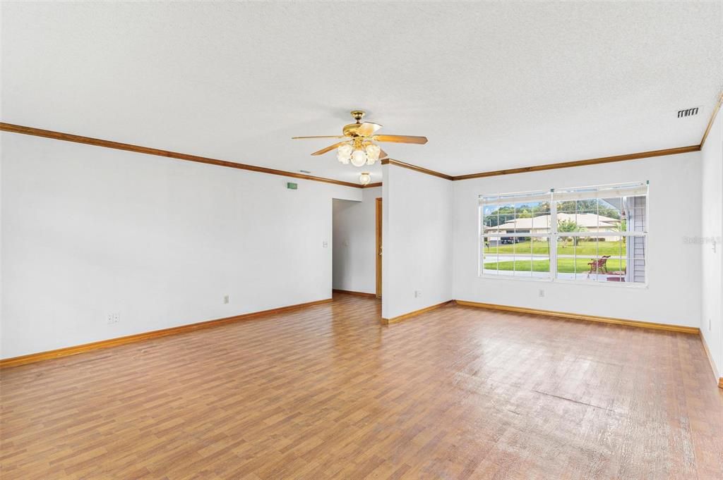 Living Room / Looking at Front Door Hall