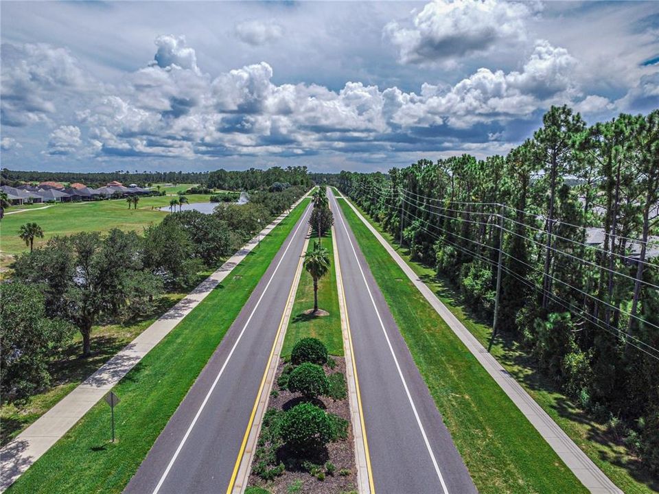 Tree lined sidewalks on both sides of the road