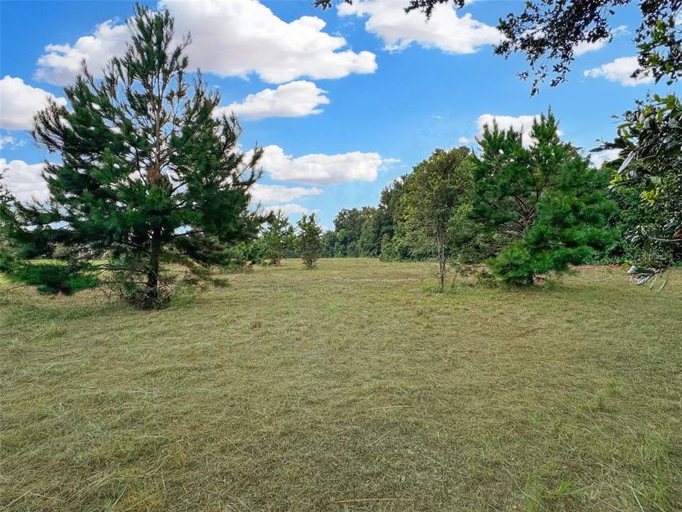 For Sale: $250,000 (2.50 acres)