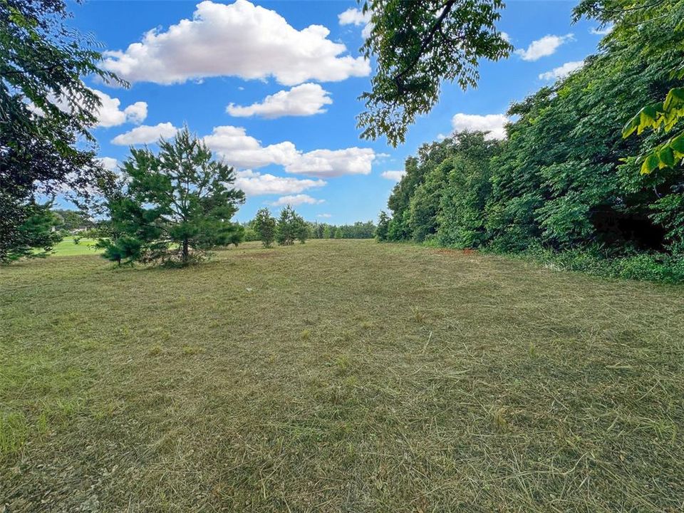 For Sale: $250,000 (2.50 acres)