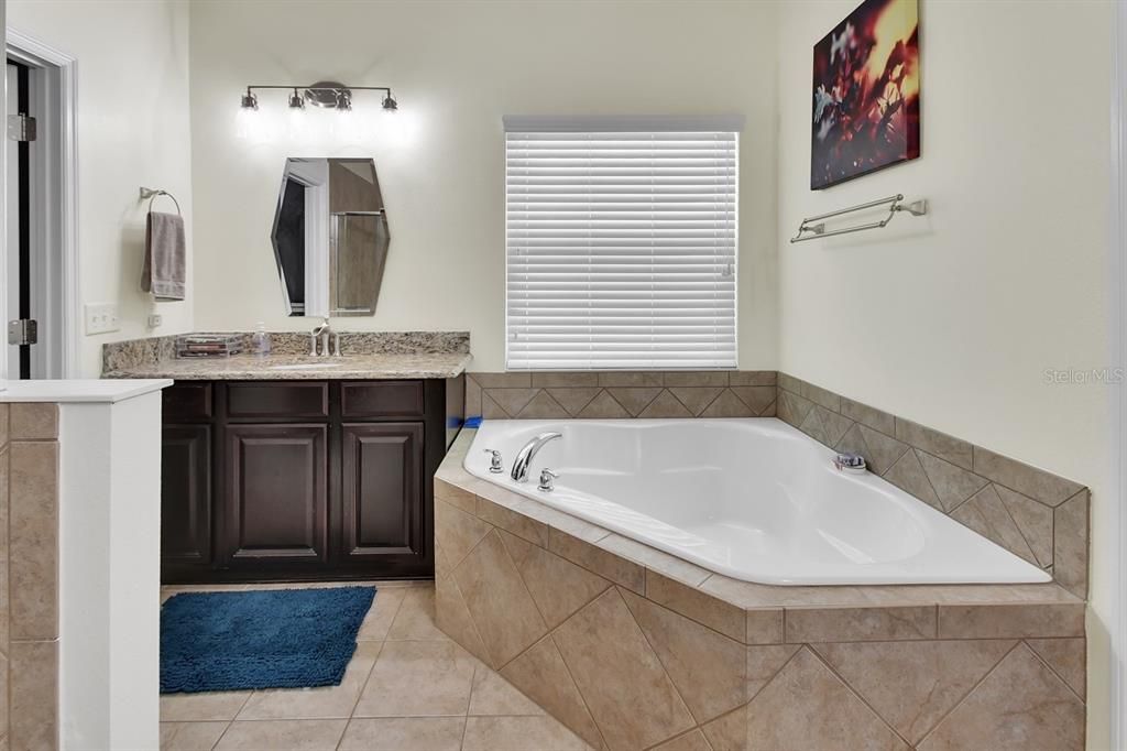 Master bathroom with garden tub