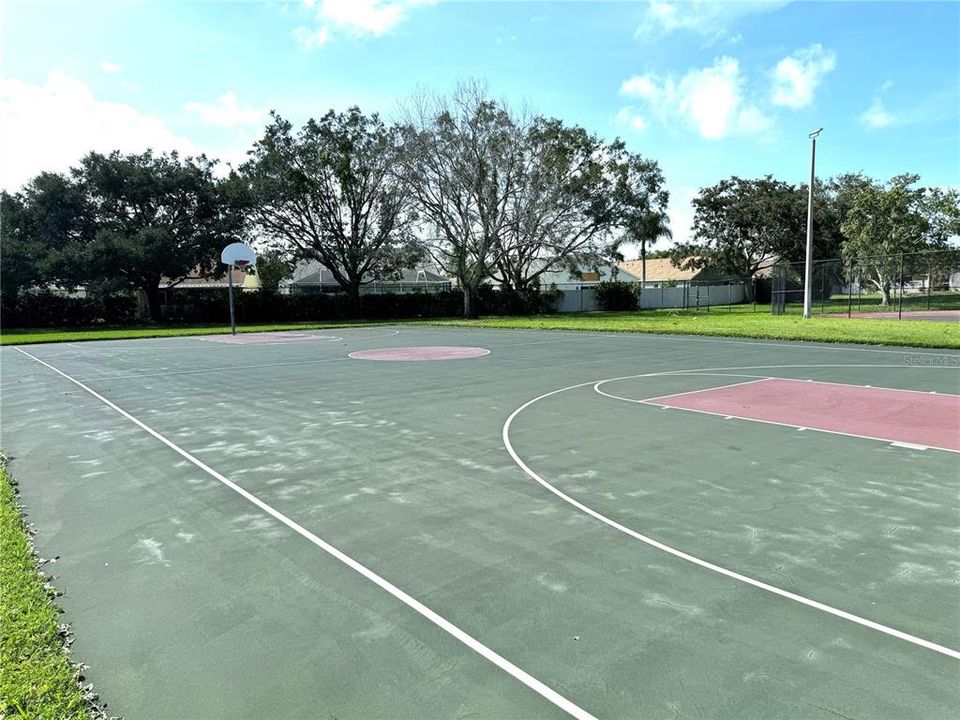 Basketball Court