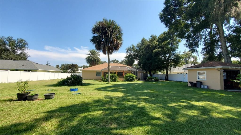 Backyard with oak trees