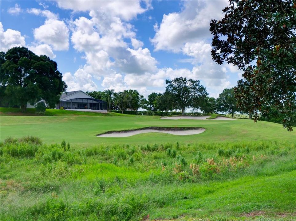 Elevated Golf Course View