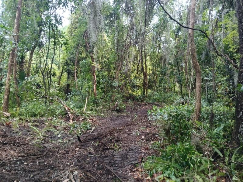 En Venta: $46,900 (0.34 acres)