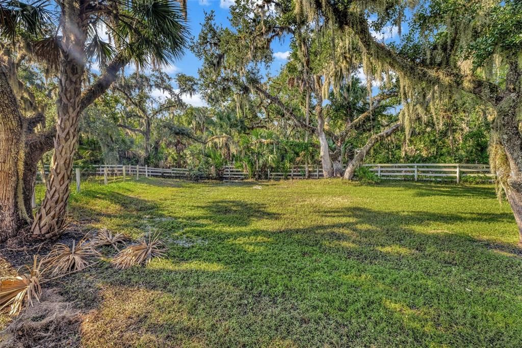 Driveway to House#2