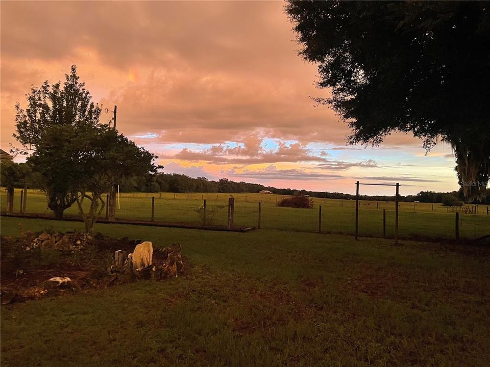 View from front yard.