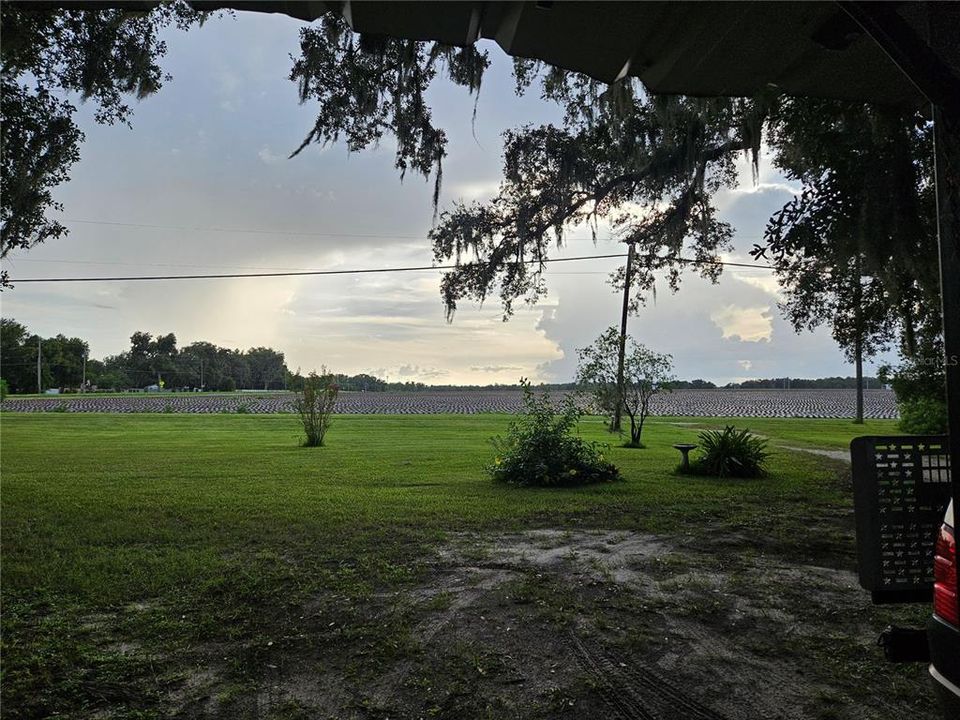 View from front porch