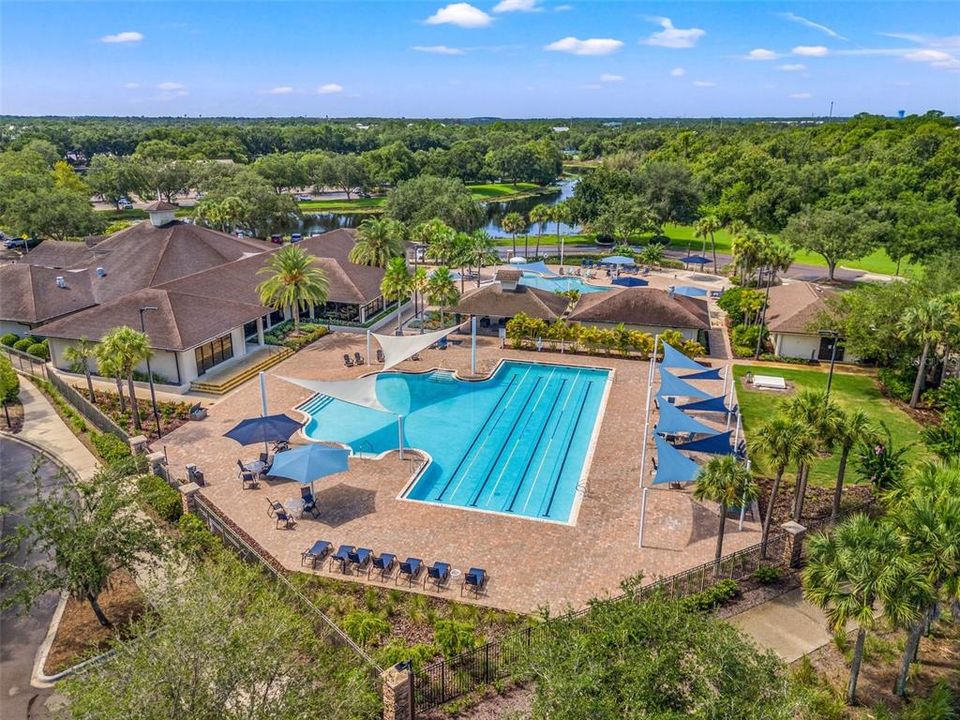 Lakewood Ranch Golf & Country Lap Pool