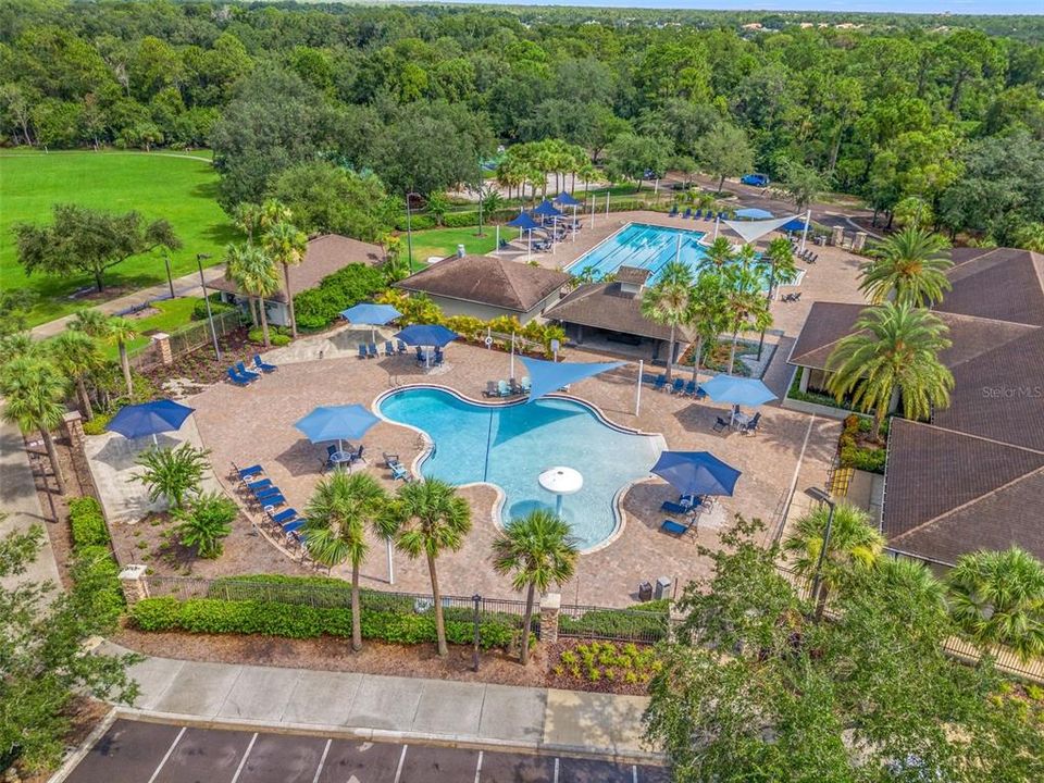 Lakewood Ranch Golf & Country Resort Style Pool