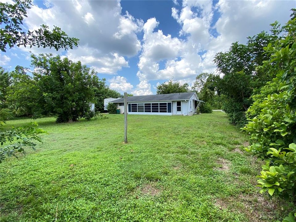 Large Backyard