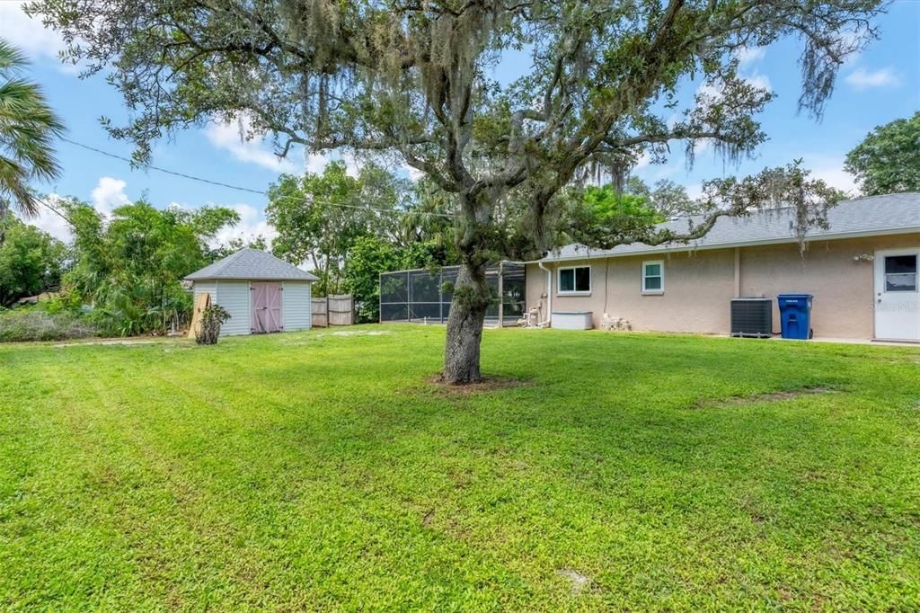 Spacious backyard with storage shed