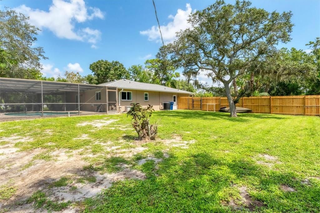 Spacious backyard