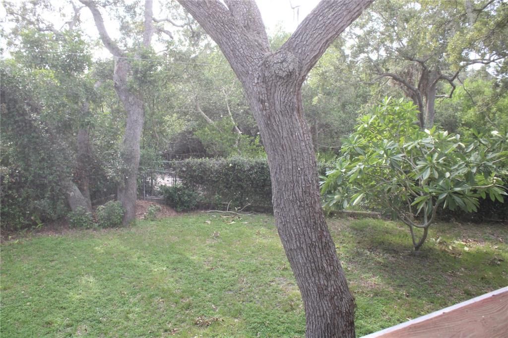 VIEW FROM UPSTAIR TO BACK YARD