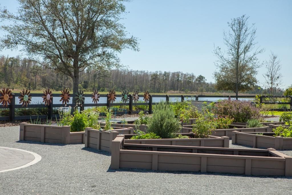 Community herb garden