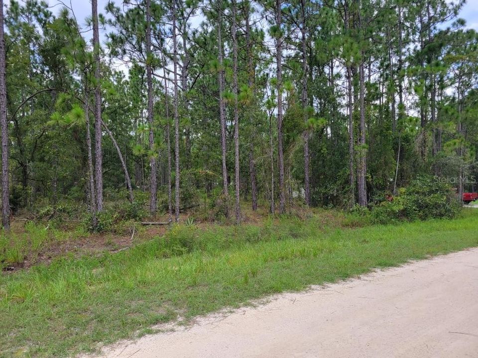 En Venta: $36,900 (0.50 acres)