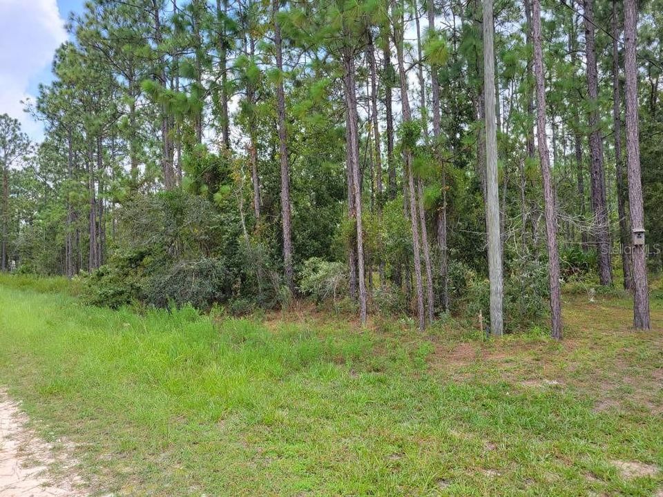 En Venta: $36,900 (0.50 acres)