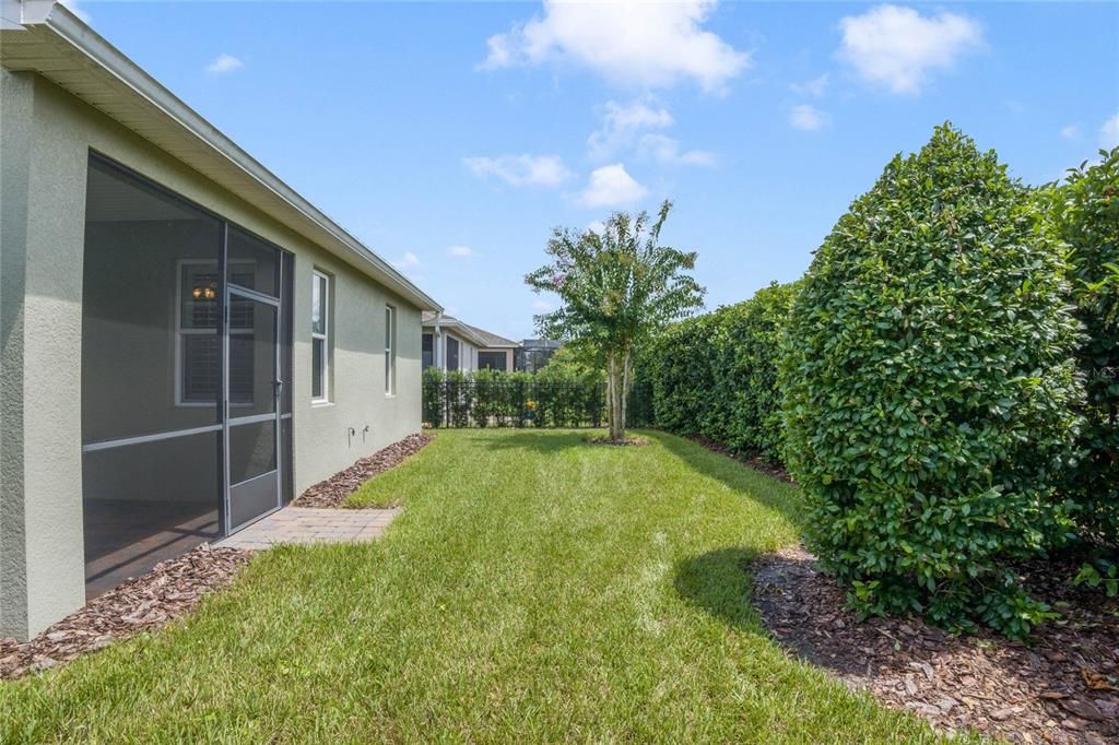 View of the backyard w/ privacy landscaping