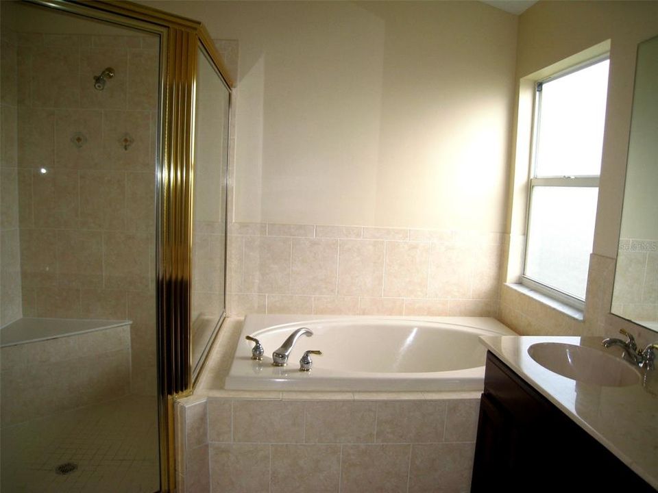 Master bath tub and shower