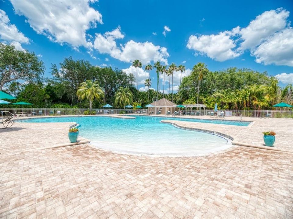 Resort Pool