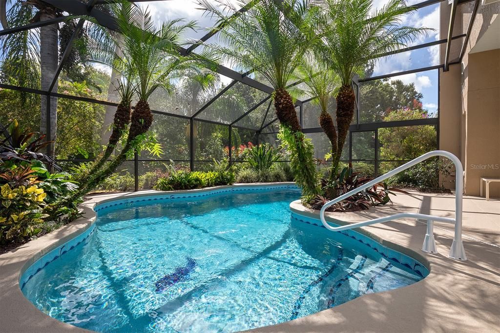 Large Heated Pool under screen