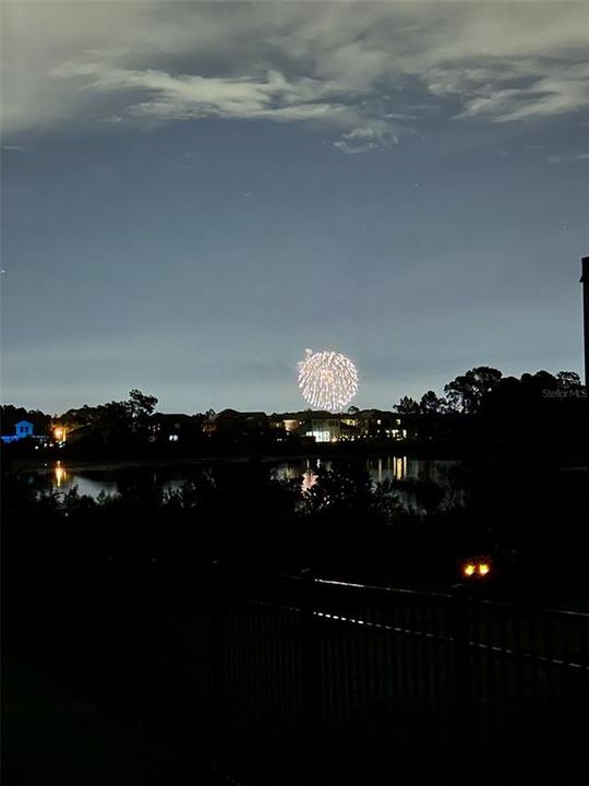 View of Disney Fireworks