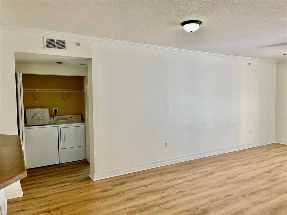 Living Room & hall to washer/dryer