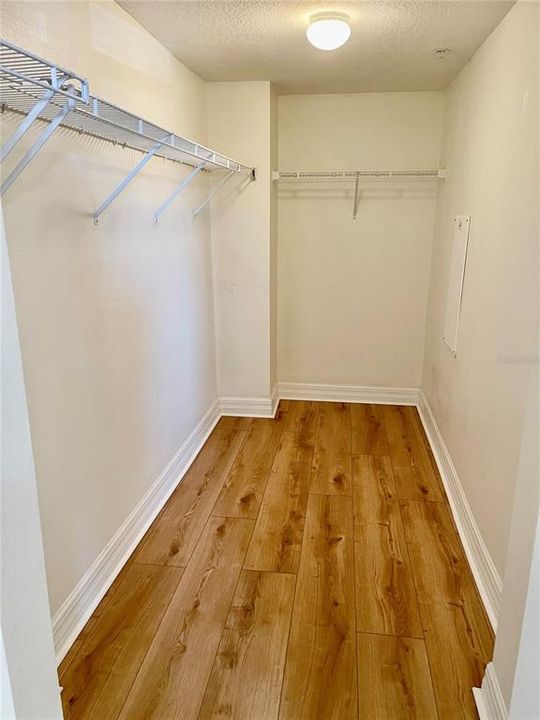 closet off guest bedroom